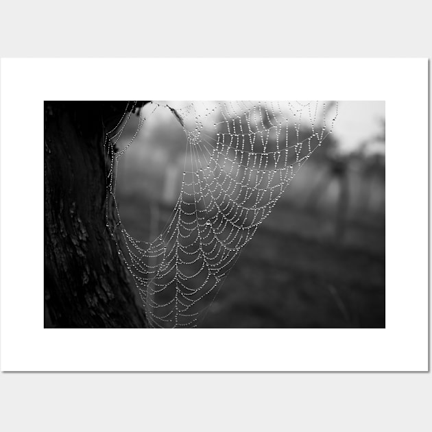 Spiderweb Necklace Wall Art by Elusive Edamame